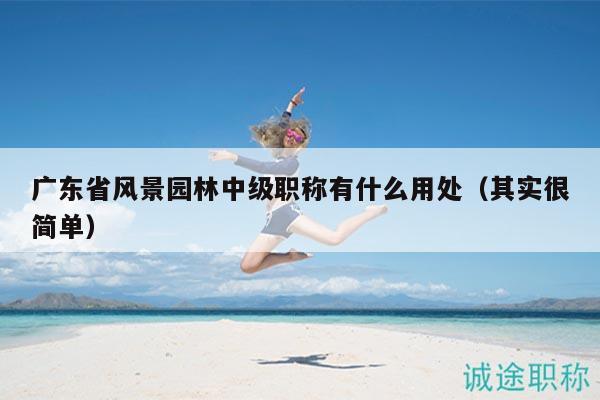 广东省风景园林中级职称有什么用处（其实很简单）