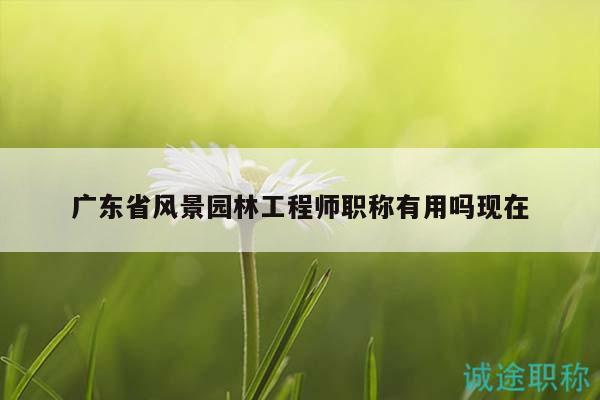 广东省风景园林工程师职称有用吗现在