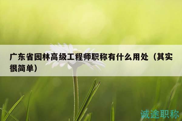 广东省园林高级工程师职称有什么用处（其实很简单）