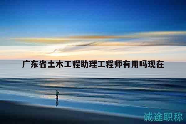 广东省土木工程助理工程师有用吗现在