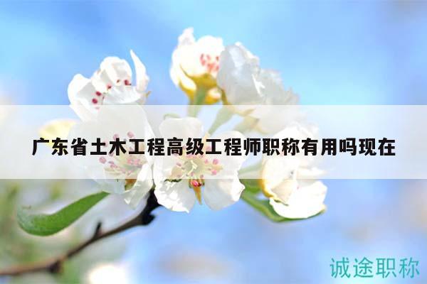 广东省土木工程高级工程师职称有用吗现在