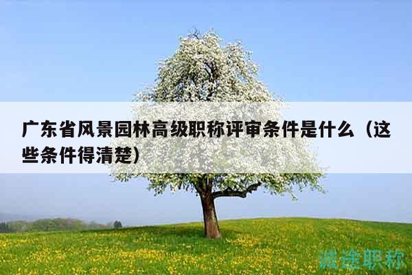 广东省风景园林高级职称评审条件是什么（这些条件得清楚）