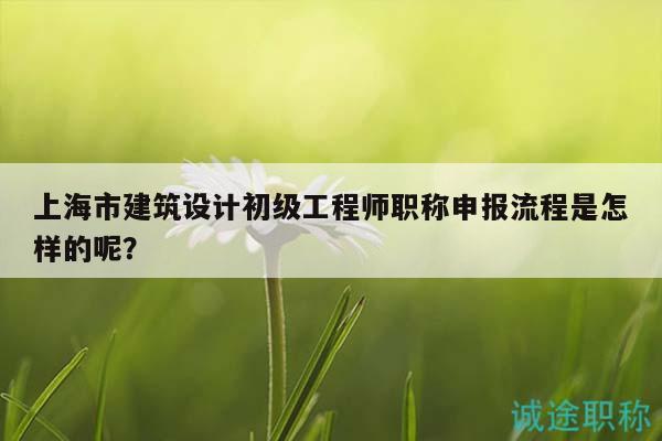 上海市建筑设计初级工程师职称申报流程是怎样的呢？