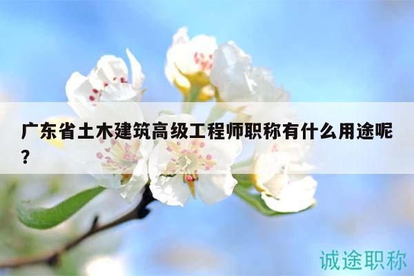 广东省土木建筑高级工程师职称有什么用途呢？