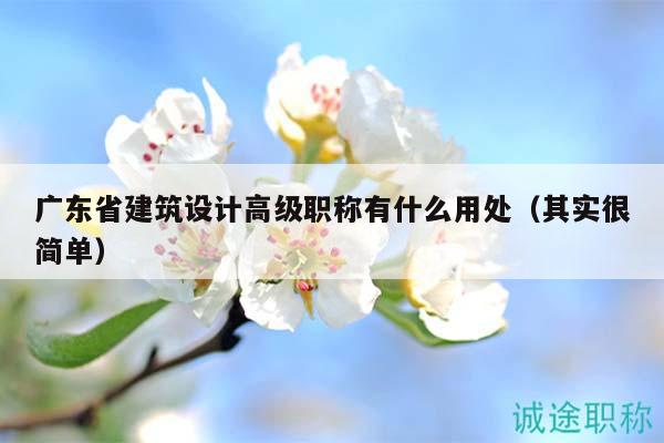 广东省建筑设计高级职称有什么用处（其实很简单）