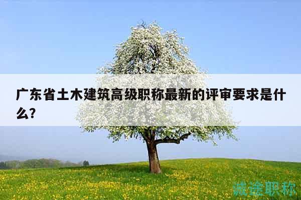 广东省土木建筑高级职称最新的评审要求是什么？