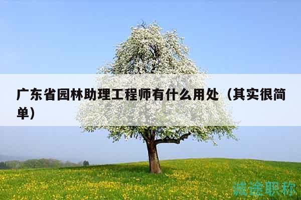 广东省园林助理工程师有什么用处（其实很简单）