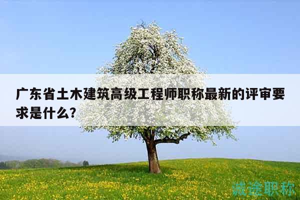 广东省土木建筑高级工程师职称最新的评审要求是什么？