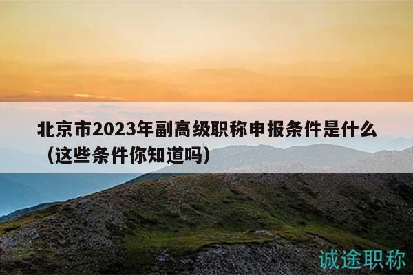 北京市2024年副高级职称申报条件是什么（这些条件你知道吗）