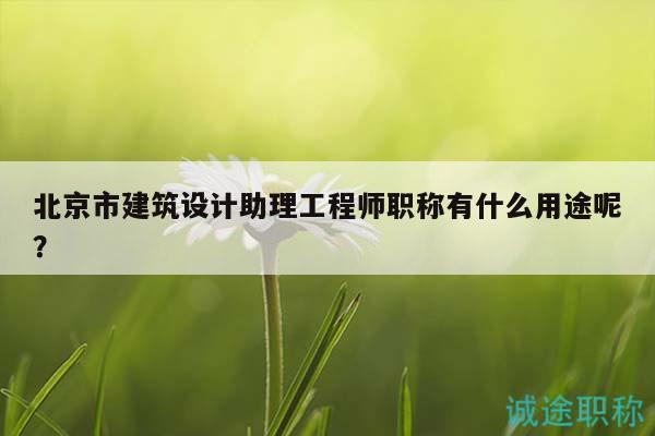 北京市建筑设计助理工程师职称有什么用途呢？