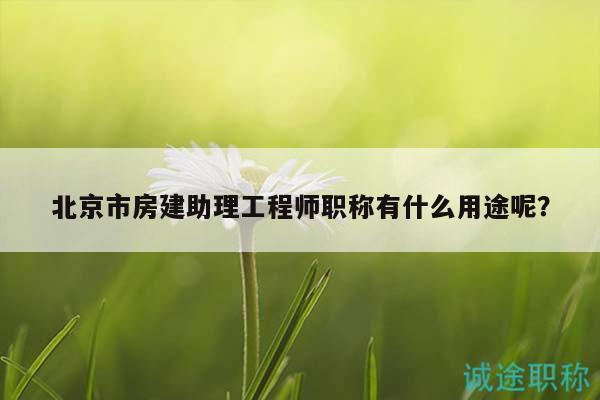 北京市房建助理工程师职称有什么用途呢？