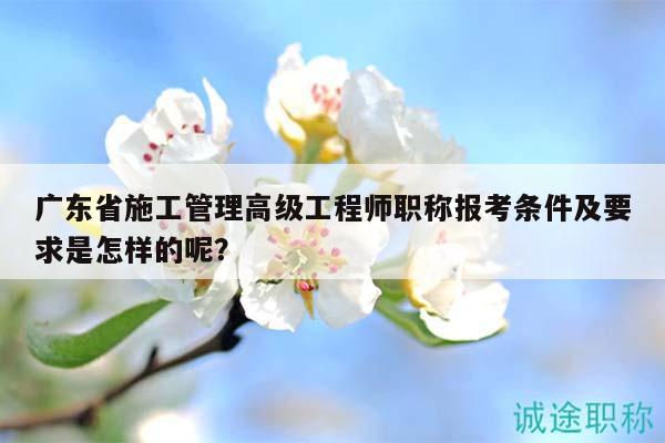 广东省施工管理高级工程师职称报考条件及要求是怎样的呢？