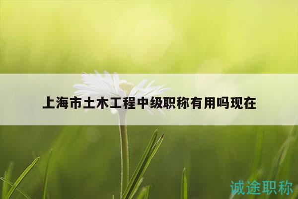 上海市土木工程中级职称有用吗现在