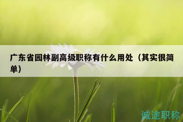 广东省园林副高级职称有什么用处（其实很简单）