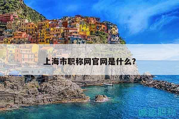 上海市职称网官网是什么？