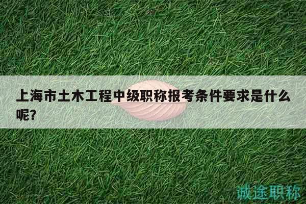 上海市土木工程中级职称报考条件要求是什么呢？
