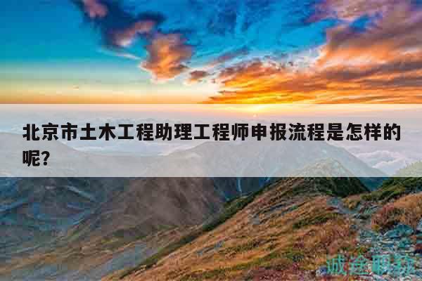北京市土木工程助理工程师申报流程是怎样的呢？