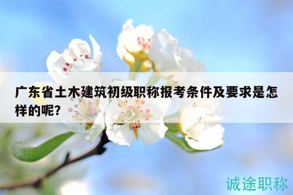 广东省土木建筑初级职称报考条件及要求是怎样的呢？