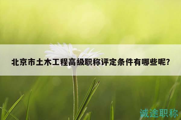 北京市土木工程高级职称评定条件有哪些呢？