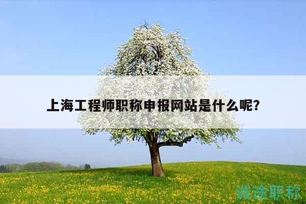 上海工程师职称申报网站是什么呢？