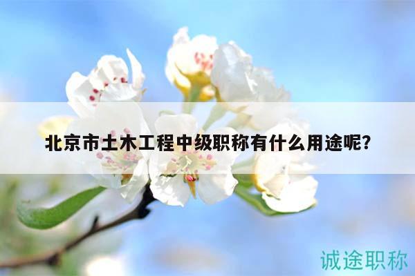 北京市土木工程中级职称有什么用途呢？