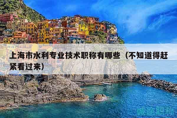 上海市水利专业技术职称有哪些（不知道得赶紧看过来）