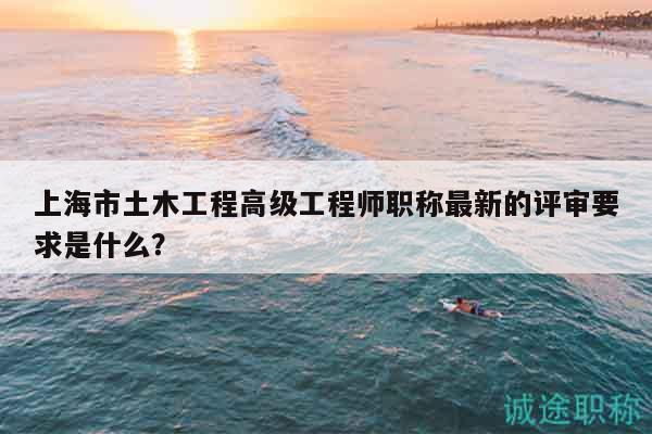 上海市土木工程高级工程师职称最新的评审要求是什么？