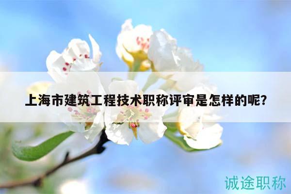 上海市建筑工程技术职称评审是怎样的呢？