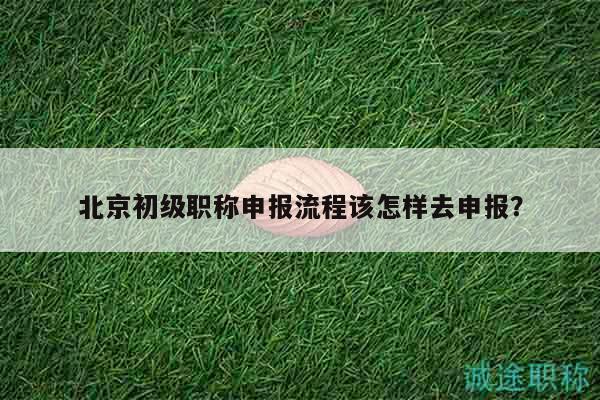 北京初级职称申报流程该怎样去申报？
