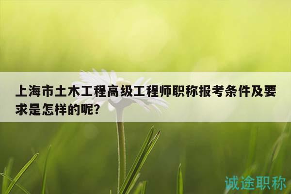 上海市土木工程高级工程师职称报考条件及要求是怎样的呢？