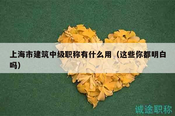 上海市建筑中级职称有什么用（这些你都明白吗）