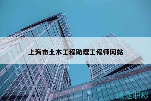 上海市土木工程助理工程师网站