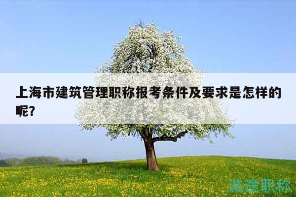 上海市建筑管理职称报考条件及要求是怎样的呢？