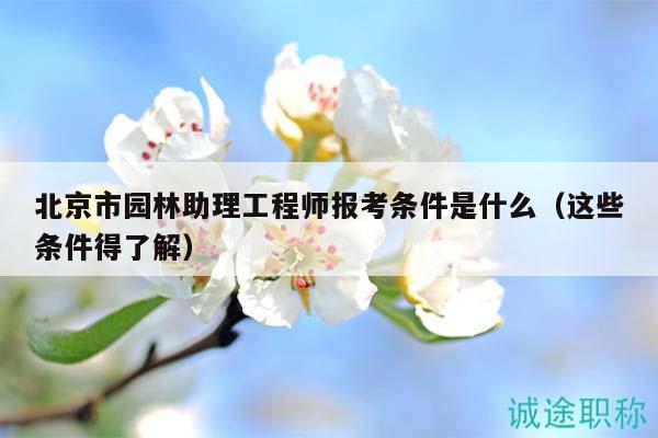 北京市园林助理工程师报考条件是什么（这些条件得了解）