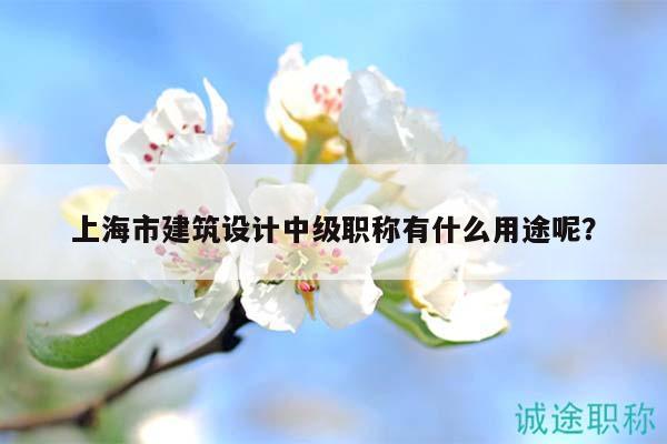 上海市建筑设计中级职称有什么用途呢？