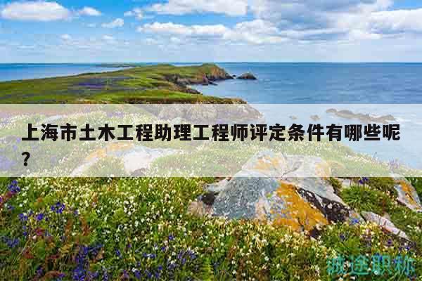 上海市土木工程助理工程师评定条件有哪些呢？