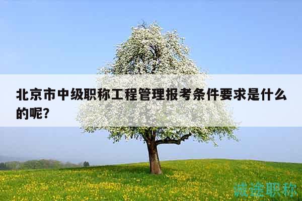 北京市中级职称工程管理报考条件要求是什么的呢？