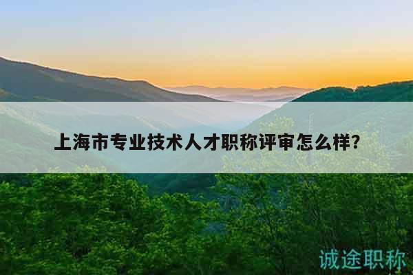 上海市专业技术人才职称评审怎么样？