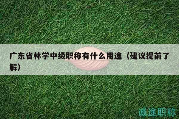 广东省林学中级职称有什么用途（建议提前了解）
