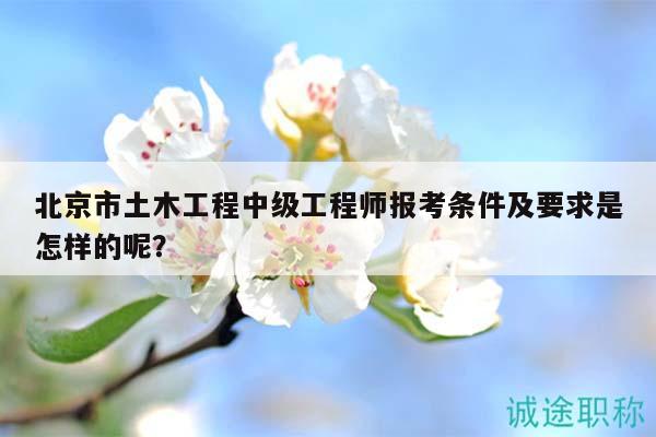 北京市土木工程中级工程师报考条件及要求是怎样的呢？