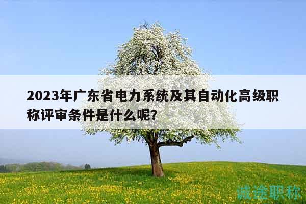 2023年广东省电力系统及其自动化高级职称评审条件是什么呢？