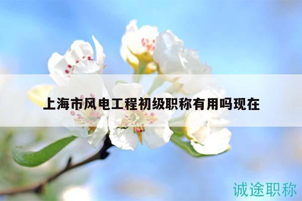 上海市风电工程初级职称有用吗现在