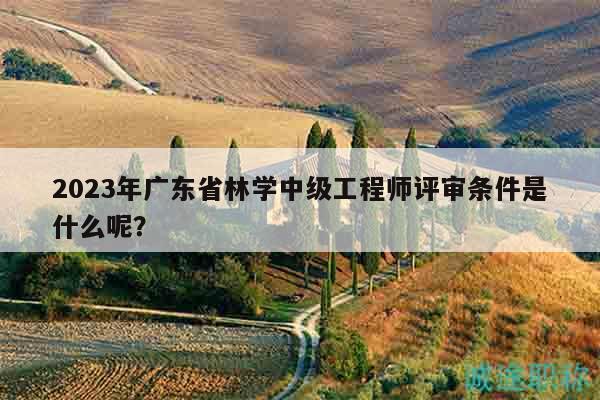 2023年广东省林学中级工程师评审条件是什么呢？