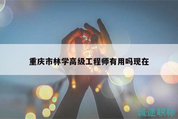 重庆市林学高级工程师有用吗现在
