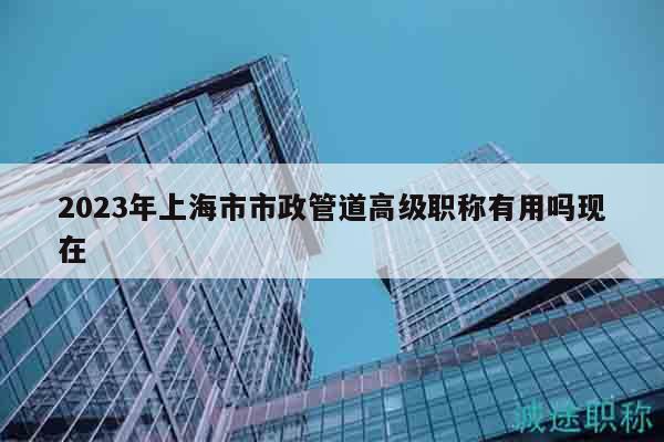 2023年上海市市政管道高级职称有用吗现在
