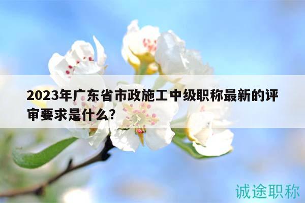2023年广东省市政施工中级职称最新的评审要求是什么？