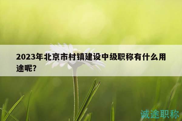 2023年北京市村镇建设中级职称有什么用途呢？