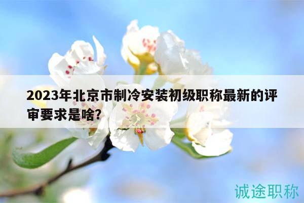 2023年北京市制冷安装初级职称最新的评审要求是啥？