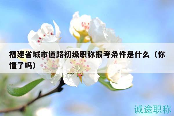 福建省城市道路初级职称报考条件是什么（你懂了吗）