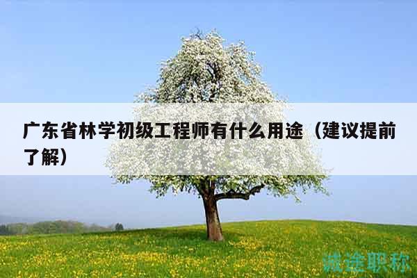 广东省林学初级工程师有什么用途（建议提前了解）